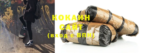 шишки Карпинск