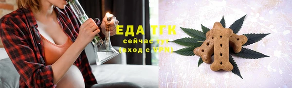 шишки Карпинск