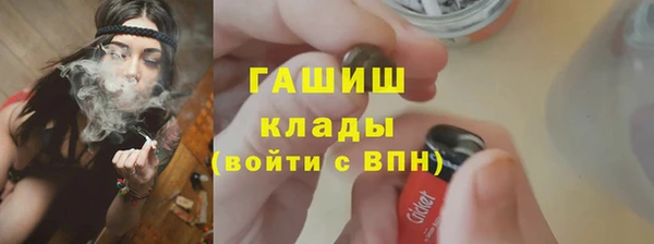 шишки Карпинск