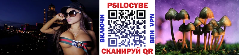 Псилоцибиновые грибы Psilocybe  Купить закладки  Вязьма 